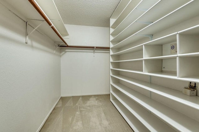 spacious closet featuring light carpet