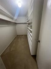 view of walk in closet