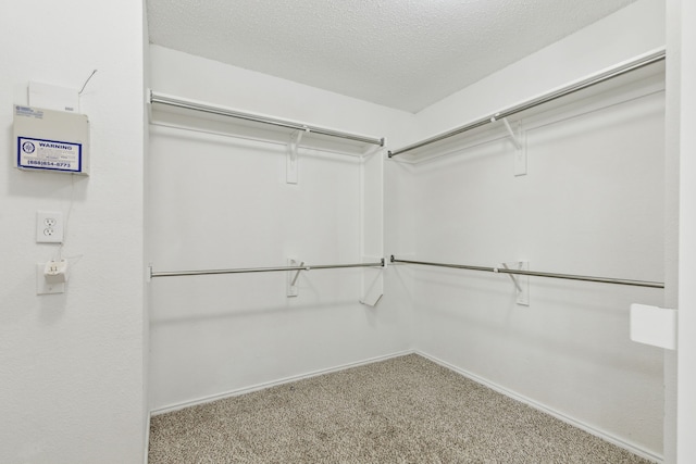 walk in closet featuring carpet flooring