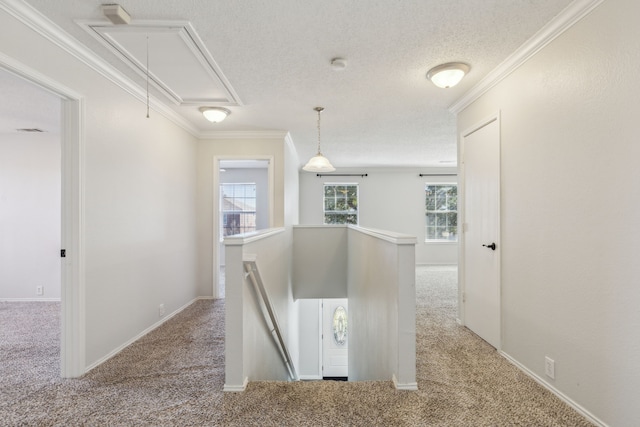 corridor featuring a textured ceiling, light colored carpet, and ornamental molding