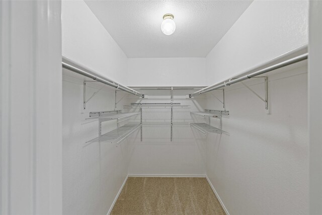 walk in closet with carpet