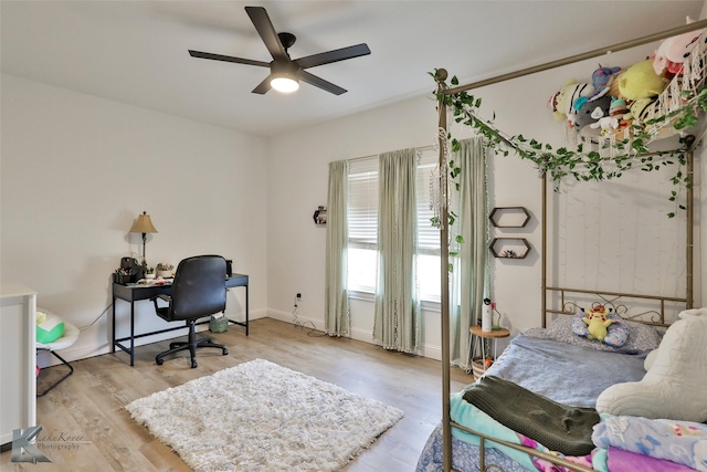 office space with ceiling fan and light hardwood / wood-style flooring