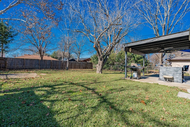 view of yard with a patio