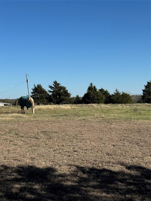 Listing photo 3 for 102 Red Maple Rd, Gunter TX 75058