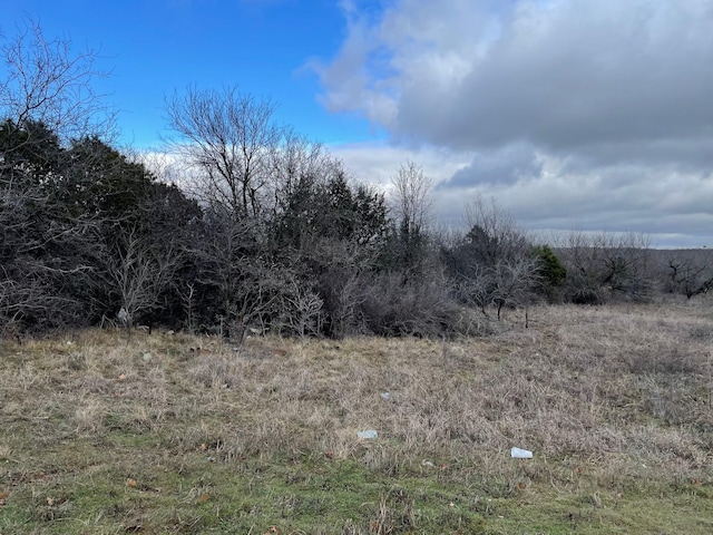 507 Garrett Morris Pkwy, Mineral Wells TX, 76067 land for sale