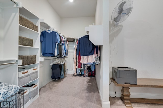 spacious closet with light colored carpet