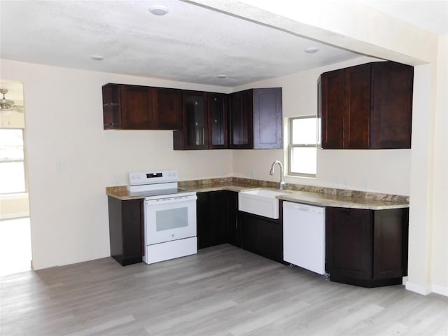 kitchen featuring dark brown cabinets, light wood-type flooring, white appliances, and sink