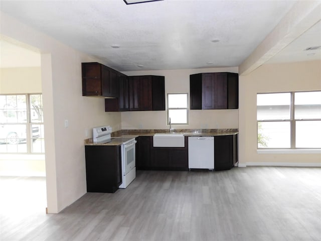 kitchen with a wealth of natural light, white appliances, dark brown cabinetry, sink, and light hardwood / wood-style flooring