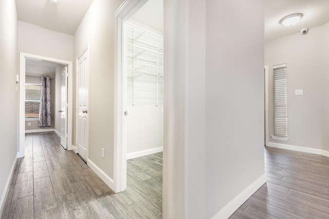 hall featuring hardwood / wood-style floors