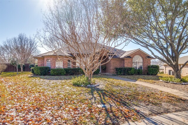 ranch-style house featuring a front yard