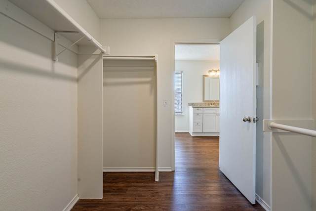 spacious closet featuring dark wood-type flooring