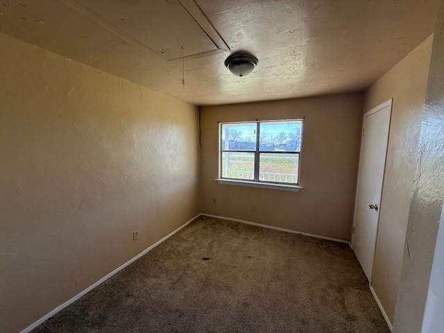 spare room with carpet