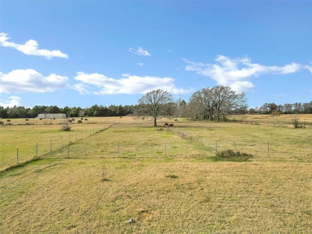 view of yard with a rural view