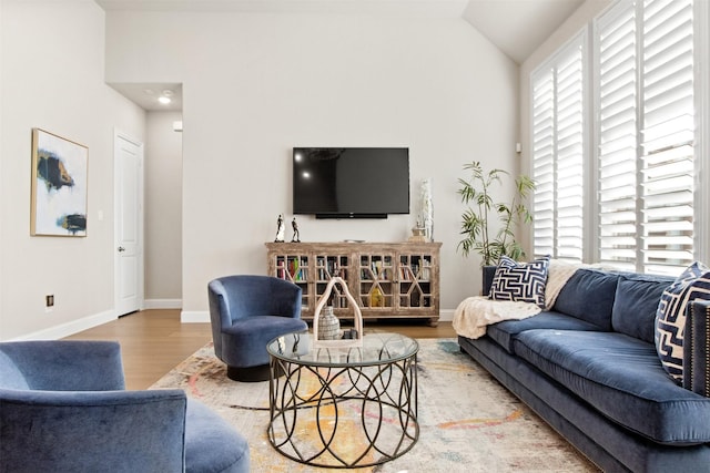 living room featuring high vaulted ceiling and hardwood / wood-style floors