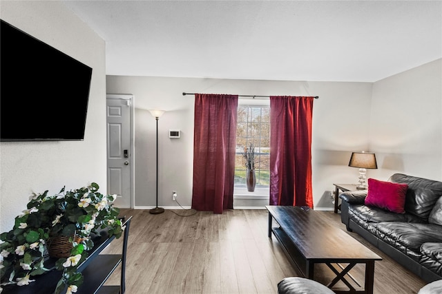 living room featuring hardwood / wood-style floors