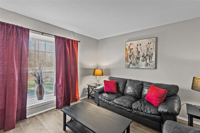 living room featuring hardwood / wood-style floors and a healthy amount of sunlight