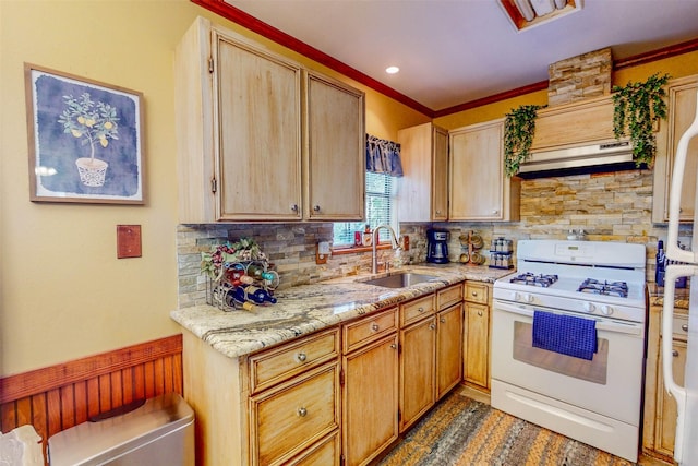 kitchen featuring white gas range, sink, tasteful backsplash, ventilation hood, and ornamental molding