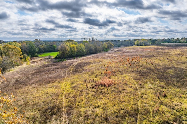 view of landscape with a rural view