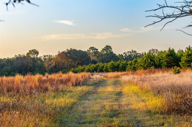 view of nature at dusk