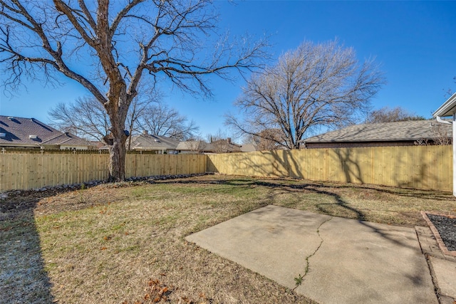 view of yard featuring a patio area