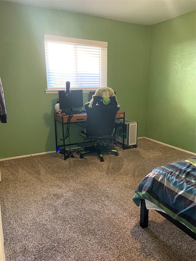 bedroom with carpet flooring