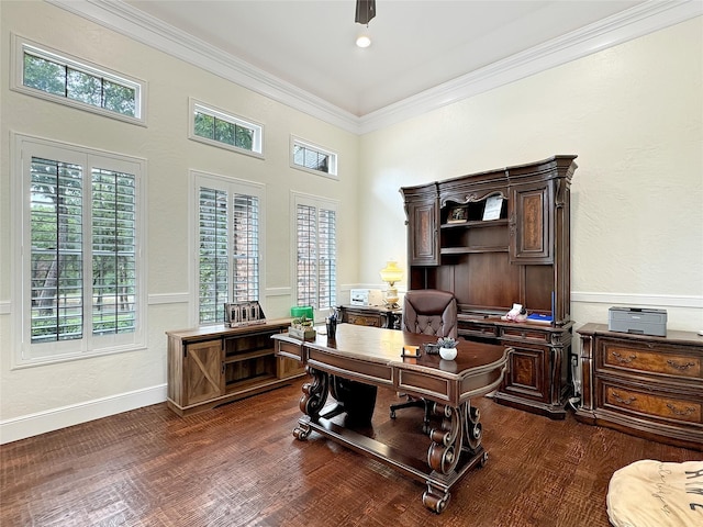 6565 Rockridge Trl, Aubrey, TX 76227 - office with plenty of natural light, dark wood-style floors, and crown molding