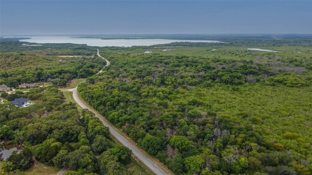 6565 Rockridge Trl, Aubrey, TX 76227 - aerial view of property and surrounding area with a heavily wooded area and a large body of water