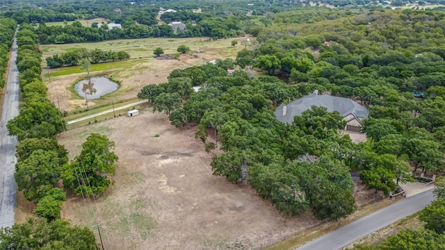 6565 Rockridge Trl, Aubrey, TX 76227 - drone / aerial view