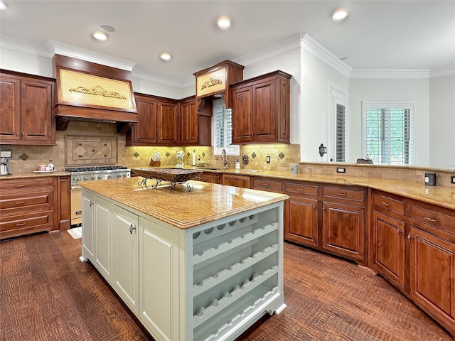 6565 Rockridge Trl, Aubrey, TX 76227 - kitchen with high end stainless steel range, light stone counters, backsplash, dark wood-style flooring, and ornamental molding