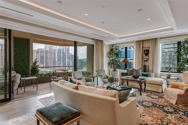 living room featuring a tray ceiling