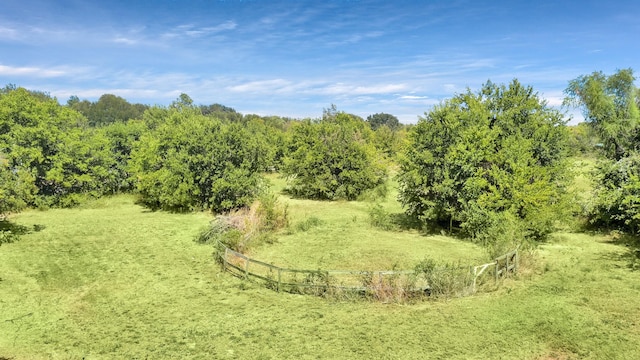 view of local wilderness