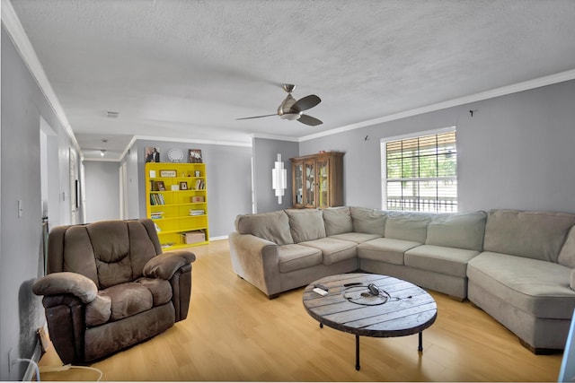 living room with light hardwood / wood-style flooring, ornamental molding, and a textured ceiling