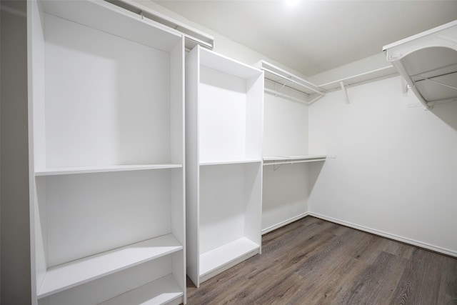 spacious closet featuring dark hardwood / wood-style floors