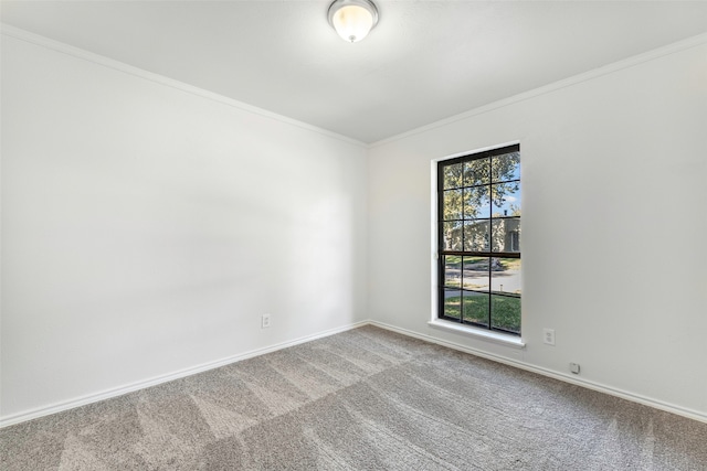 unfurnished room with carpet floors and ornamental molding