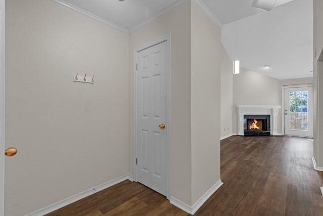 interior space with dark hardwood / wood-style flooring and ornamental molding