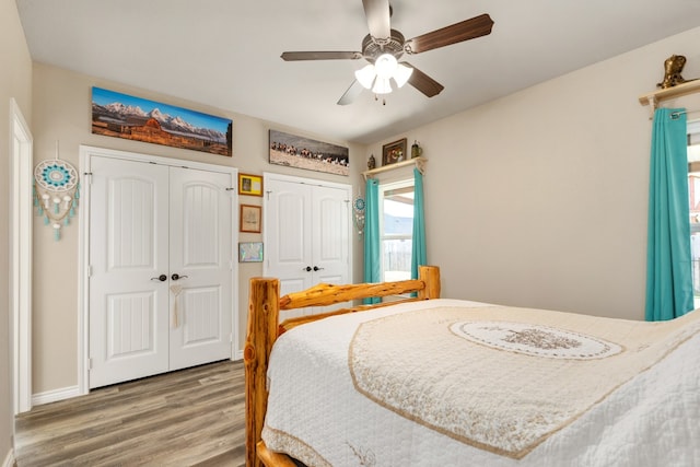 bedroom featuring wood-type flooring, two closets, and ceiling fan