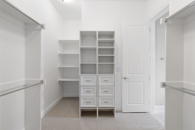 spacious closet with light carpet