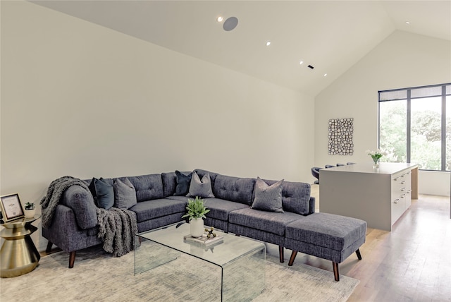 living room featuring high vaulted ceiling and light hardwood / wood-style flooring