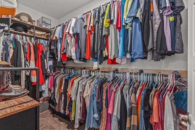 spacious closet featuring carpet