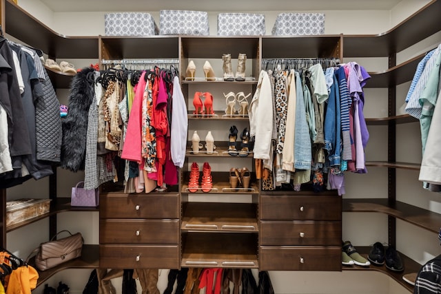 view of spacious closet