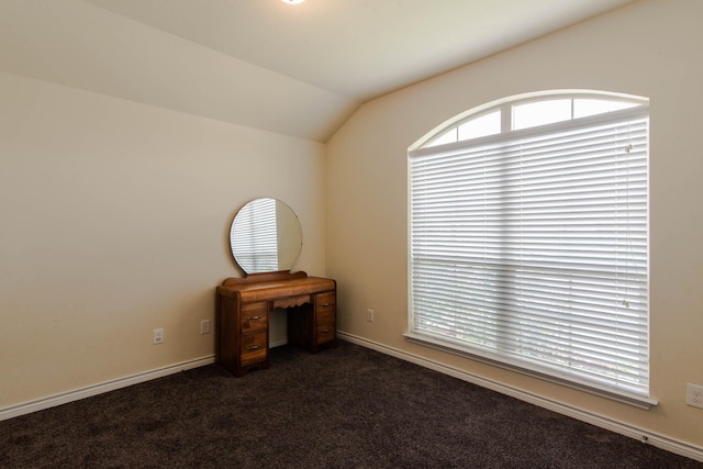 interior space featuring vaulted ceiling