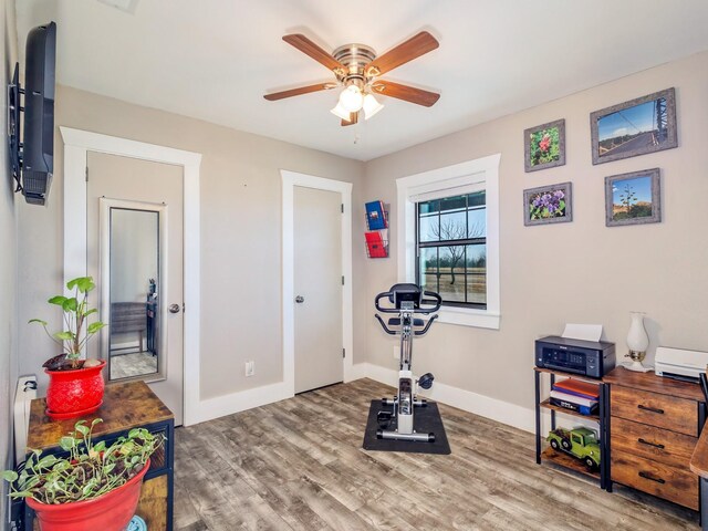 workout area featuring wood-type flooring and ceiling fan