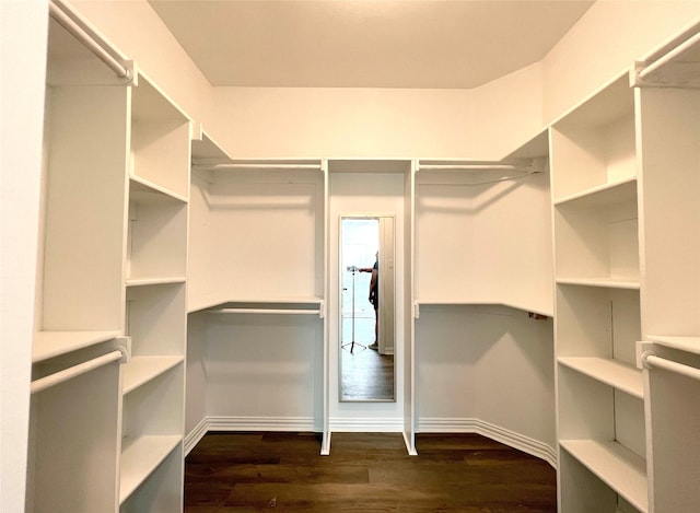 walk in closet with dark hardwood / wood-style flooring