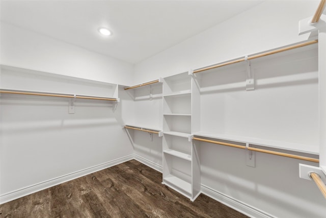 walk in closet with dark hardwood / wood-style floors