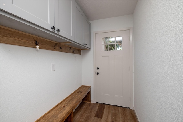 mudroom with dark hardwood / wood-style floors