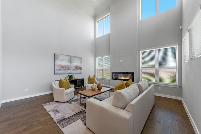 living room with a high ceiling and dark hardwood / wood-style flooring