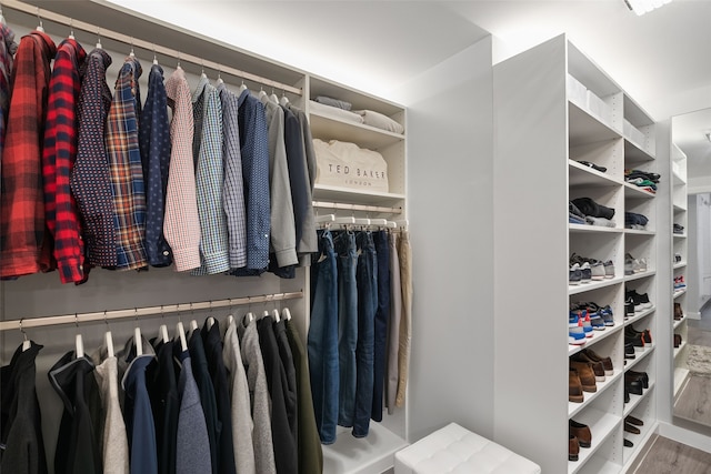 view of walk in closet