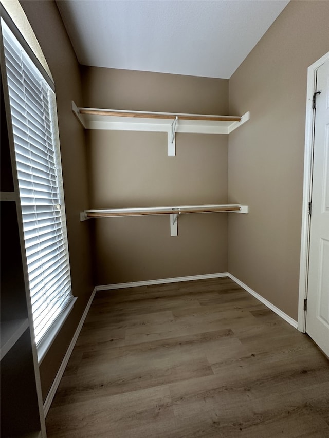 walk in closet with hardwood / wood-style flooring