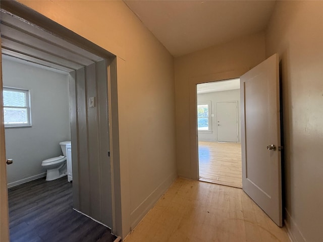 hallway with hardwood / wood-style flooring