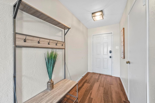 mudroom featuring dark hardwood / wood-style flooring